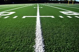 荷兰队创最差战绩，排协公告球队降级转战二级赛事争积分